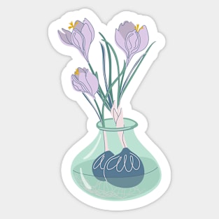 Crocuses Sticker